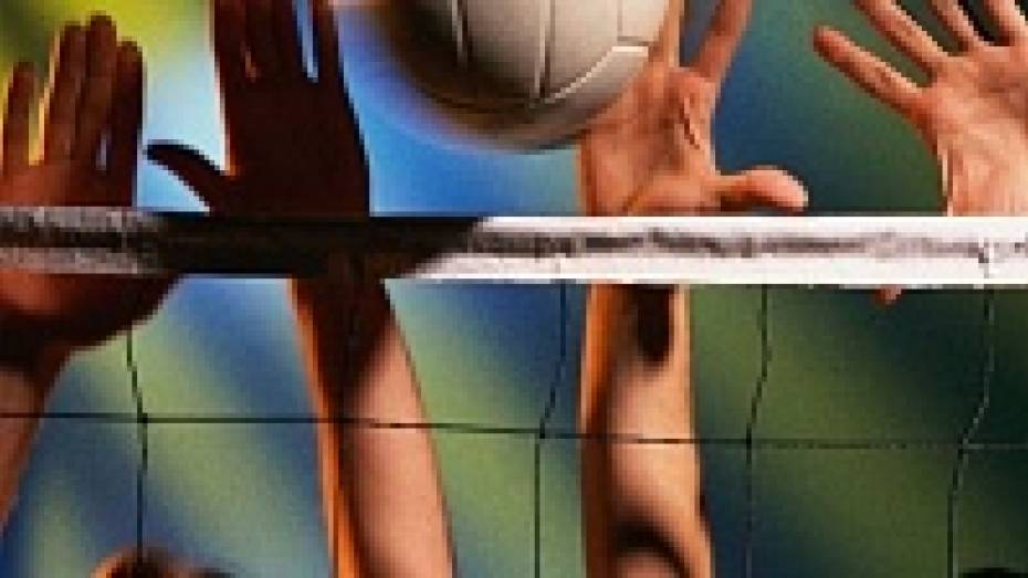 Воронежские волейболисты останутся в высшей лиге