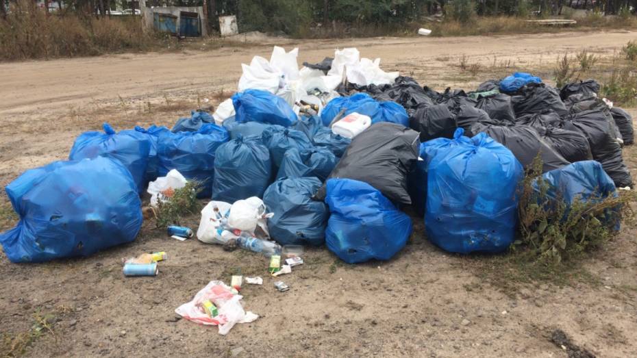 После воронежской экоакции на улицах остались мешки с мусором