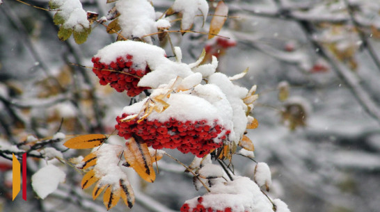 Мокрый снег и дождь ожидают воронежцев в выходные