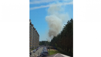 Горожане опубликовали фотографии крупного лесного пожара под Воронежем 