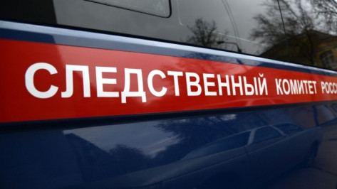 СКР: найденный на пожаре в Воронежской области пенсионер стал жертвой убийства