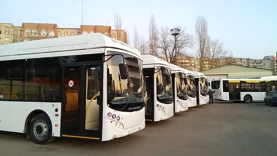 На воронежский маршрут 5А выйдут 20 современных автобусов