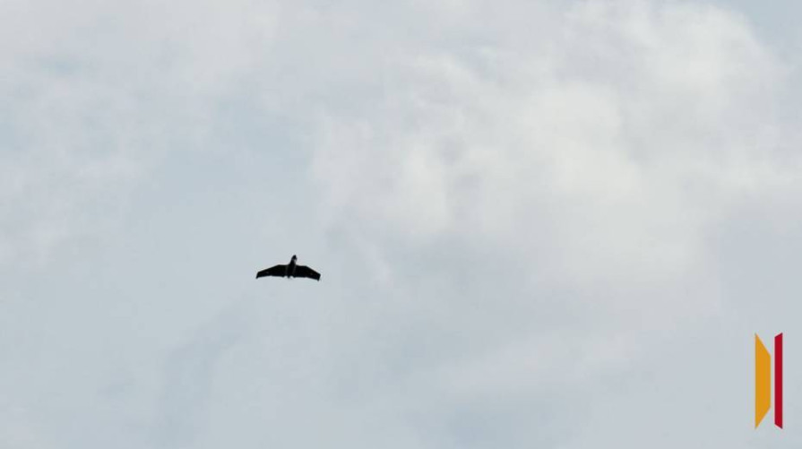 В небе над Воронежской областью поздним вечером 11 марта и в ночь на 12 марта уничтожили 3 БПЛА