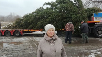 Супруги из богучарского села Липчанка подарили землякам 12-метровую ель 