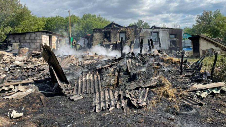 Сарай с поросятами и курами сгорел в кантемировском селе Титаревка
