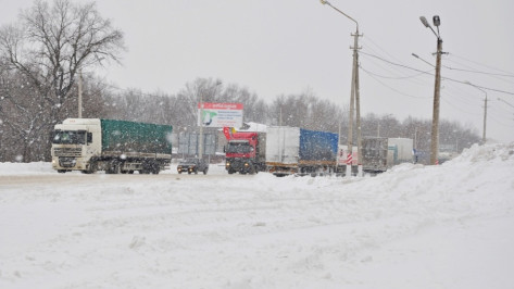Воронежские полицейские спасли лежавшего без сознания на обочине мужчину