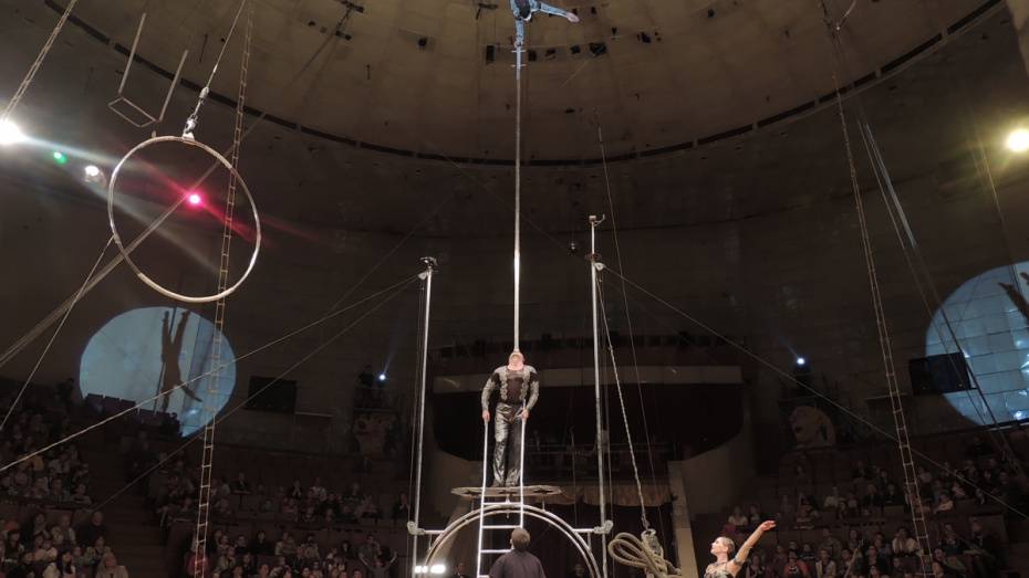 Для реконструкции цирка в Воронеже могут привлечь федеральные деньги 
