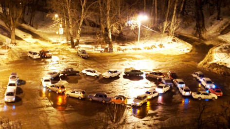 Воронежцев позвали на автофлешмоб в День всех влюбленных