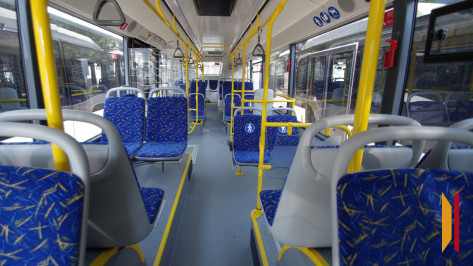 В Воронеже с 7 июля запустят новый автобусный маршрут