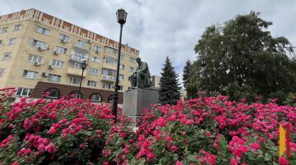 Итоги недели. Что важного произошло в Воронежской области с 8 по 14 июня