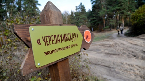 Малая Черепахинская тропа Воронежского заповедника открылась после реконструкции 