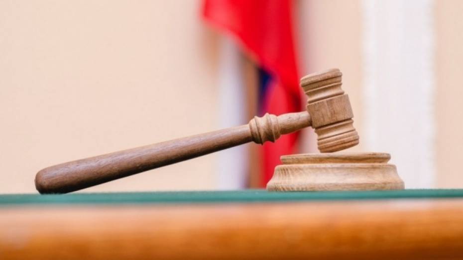 Апелляционный суд общей юрисдикции создадут в Воронеже