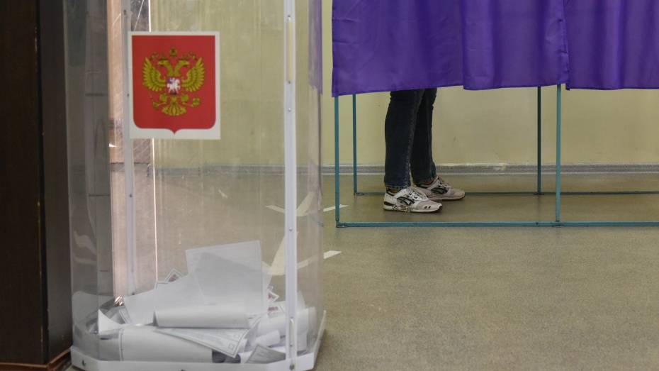 Мэрия опубликовала список избирательных участков в Воронеже