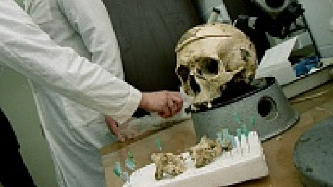 В Воронеже неподалеку от «Олимпика» местные жители наткнулись на скелет мужчины