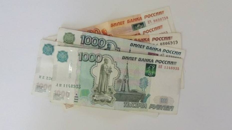 Средний доход жителя Воронежской области достиг 27 тыс рублей