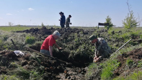 В Воронежской области обнаружили останки 5 красноармейцев