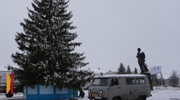 В Острогожске супруги Котовы подарили городу 17-метровую ель