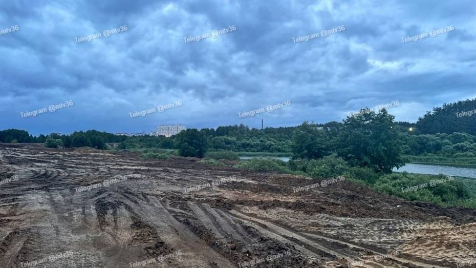 В министерстве экологии Воронежской области прокомментировали земляные работы у озера Большое