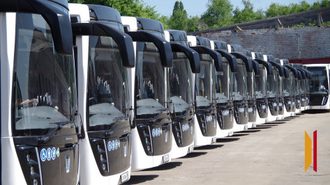 В 2025 году из Воронежа запустят новые маршруты в Запорожскую область и ДНР