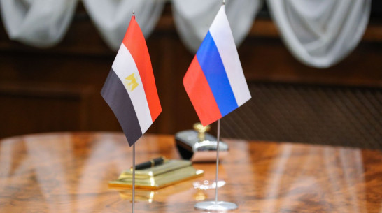 Воронежская область развивает партнерский диалог с Египтом