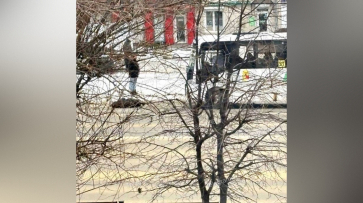 В Воронеже автобус №37 сбил женщину днем 12 января
