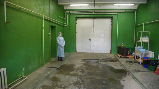 Коронавирусом за сутки заболели менее 100 жителей Воронежской области