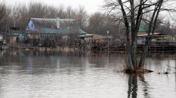 Синоптики дали прогноз на половодье в Воронежской области