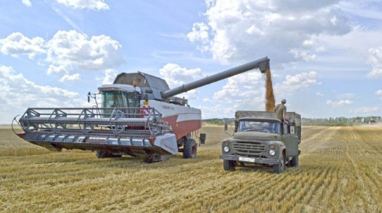 Воронежские аграрии получат субсидии на переработку сельхозпродукции 