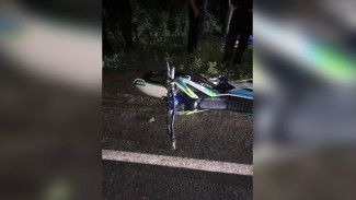 Под Воронежем 14-летний подросток на мопеде разбился насмерть, врезавшись в опору ЛЭП