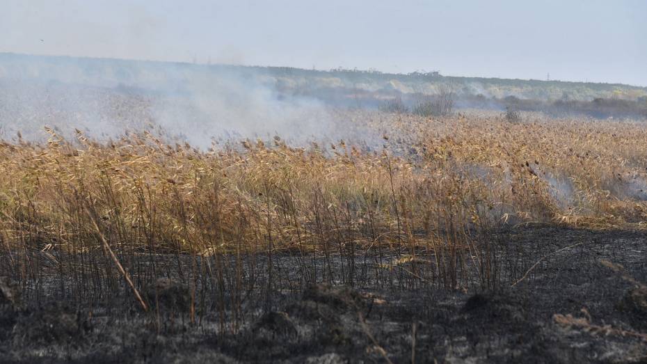 По всей Воронежской области установился 3 класс пожарной опасности