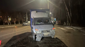 В Воронеже грузовая «Газель» сбила двух человек на пешеходном переходе