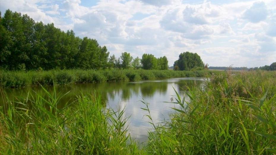 В Воронежской области автомобиль «Лада Гранта» с водителем утонул на частном пруду