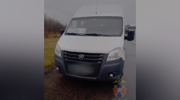 Воронежские госавтоинспекторы пришли на помощь пассажирам сломавшегося рейсового автобуса из Россоши