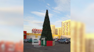 В Воронеже появились первые новогодние елки