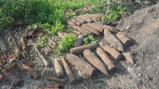 В Рамонском районе уничтожили 189 боеприпасов времен Великой Отечественной войны