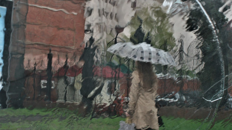 Главный метеоролог Воронежской области рассказал о вероятности ежедневных дождей