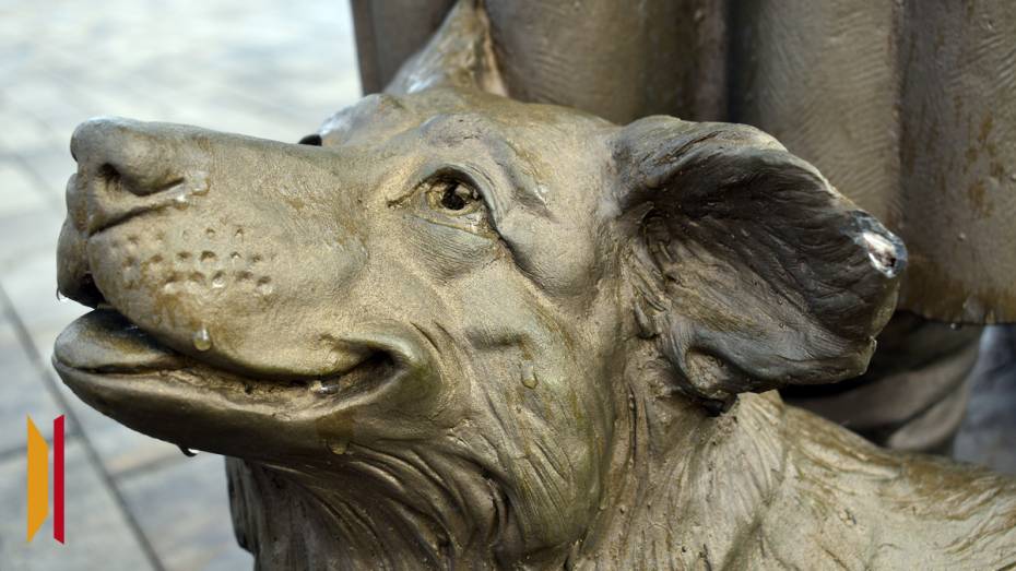 В Воронежской области нашли вандалов, которые испортили обновленный парк «Сердце Калача»