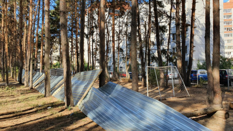 Стало известно о состоянии раненого в Северном лесу Воронежа