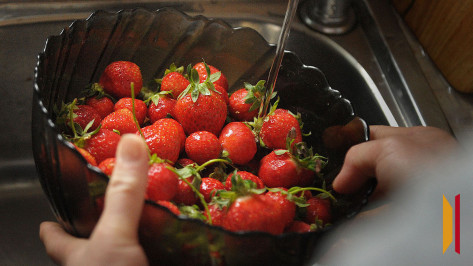 В Воронеже эксперты нашли опасное количество плесени в клубнике из Египта