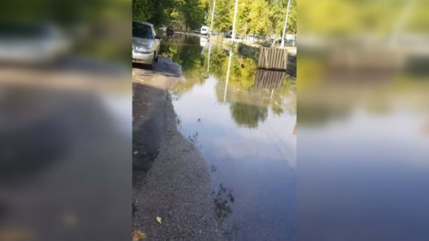 Вода пятый день подряд заливает двор на левом берегу Воронежа: видео