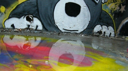 Воронежцы объявили фотоохоту на стрит-арт