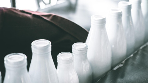 Воронежцев предупредили об опасной молочной продукции от рязанской «фирмы-призрака»