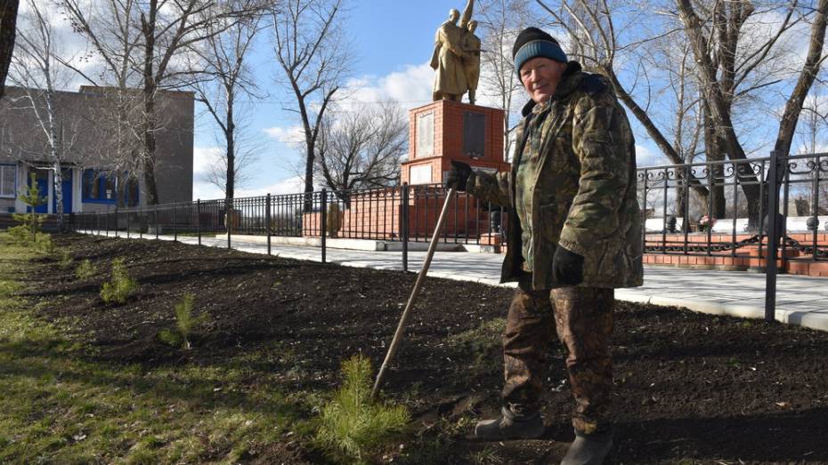 Житель кантемировского села Шевченково высадил у братской могилы 28 сосен 