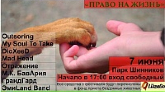 Воронежские рокеры дадут благотворительный концерт в поддержку бездомных животных