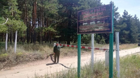 На въездах в леса Воронежской области установили 423 шлагбаума