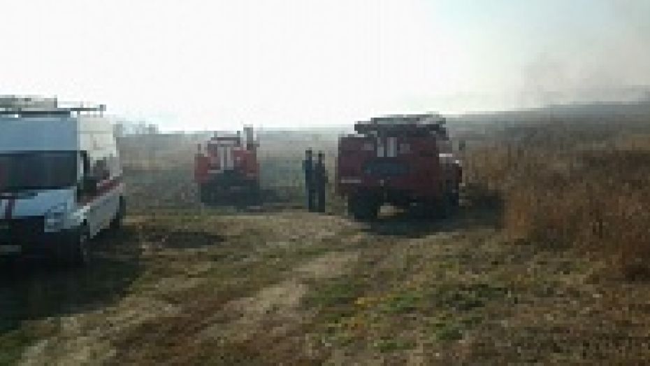 Пожарные из нескольких районов области прибыли в Борисоглебск на тушение ландшафтного пожара
