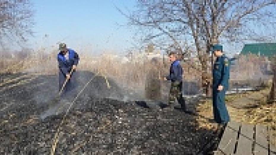В Кантемировском районе рассеялся вызванный многочисленными пожарами дым
