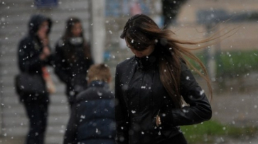 МЧС предупредило о сильном ветре в Воронежской области 30 января