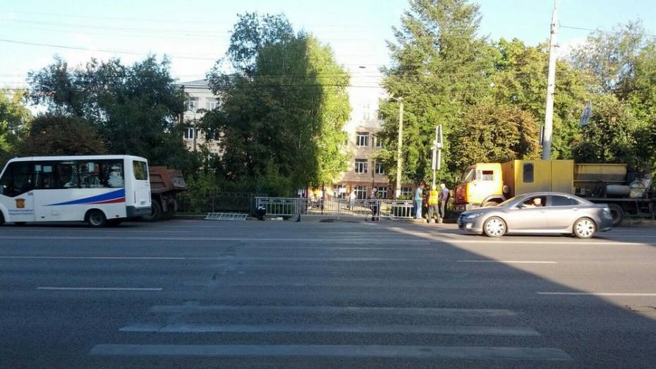 Власти Воронежа закрыли пешеходный переход у гимназии имени Никитина