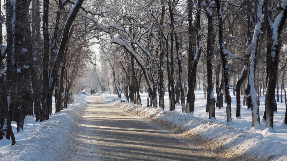 Первый день весны в Воронеже будет снежным и морозным